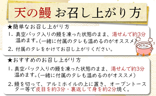 戻り鰹たたき 2節+天の鰻蒲焼き 2袋 (合計約550g+合計260g) - 送料無料 かつお カツオ うなぎ ウナギ 蒲焼き かばやき 魚 さかな 肴 おつまみ のし 熨斗 対応可 配送時間帯指定可