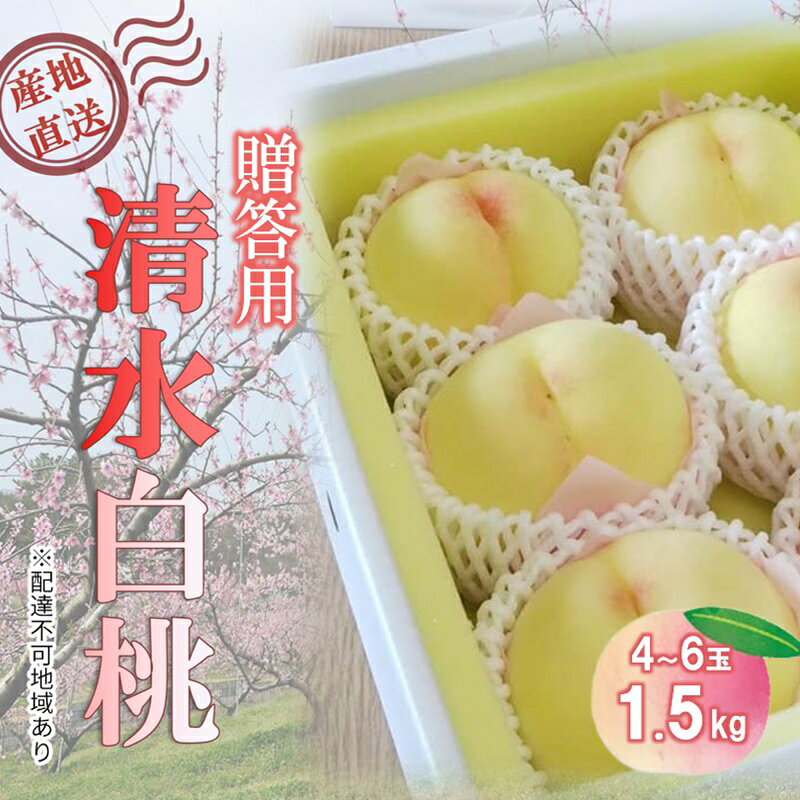 【ふるさと納税】【桃 2027年 先行予約】贈答用 清水白桃 約1.5kg(4～6玉) もも モモ 岡山県 国産 フルーツ 果物　お届け：2027年7月下旬～2027年8月上旬