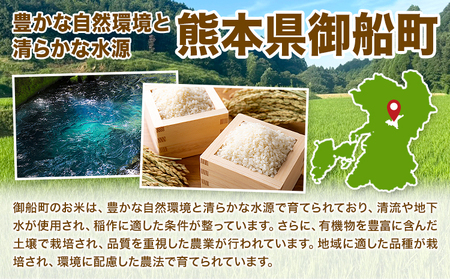 白米 10kg さこんたろう《90日以内に発送予定(土日祝除く)》熊本県 御船町 コメ おこめ 白米 ごはん 熊本県産