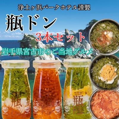 ふるさと納税 宮古市 浄土ヶ浜パークホテル【瓶ドン浜ノ宝】3本セット