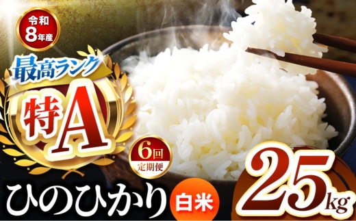 【 定期便 6回 】R8年産 熊本県産 白米 ひのひかり 25kg