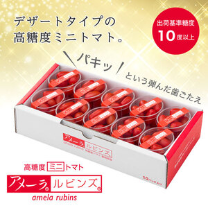アメーラ トマト ミニトマト 高糖度 アメーラトマト アメーラルビンズ 10パックセット 