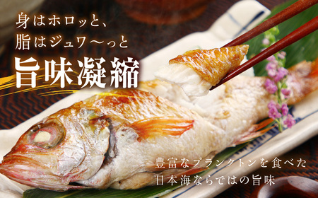 幻の高級魚「のどぐろ（鮮魚）」3～4匹（計800g程度） 魚 鮮魚 海鮮 のどぐろ 冷蔵 高級魚 下処理済 煮付け 塩焼き 【006_2046】