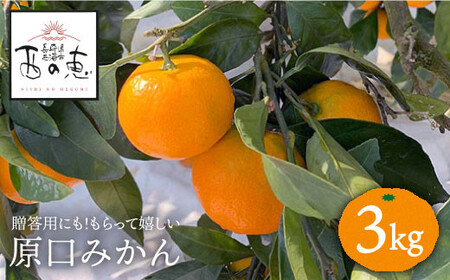 みかん 【先行予約☆贈答にもオススメ】「西の恵」 原口 みかん 約3kg 長崎 西海 ミカン みかん 柑橘 蜜柑 贈答 ギフト みかん ＜ファームまるだ＞ [CDT005]