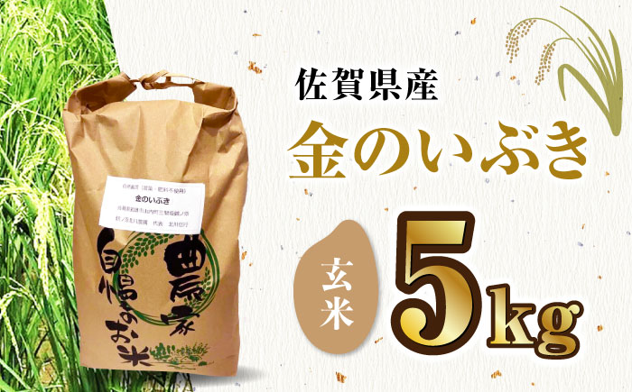 栽培期間中農薬不使用 令和5年産 金のいぶき 玄米 5kg 武雄市/鶴ノ原北川農園 [UDL021]