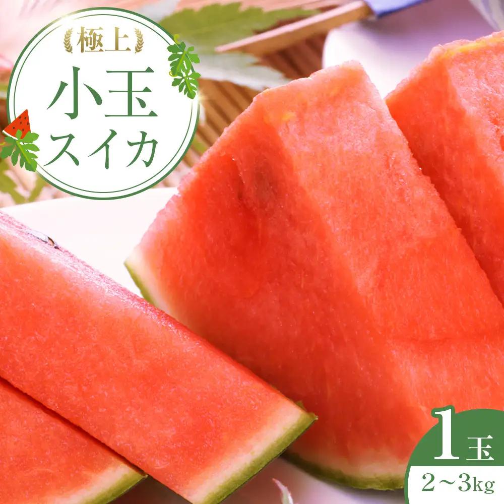 【先行予約】極上小玉スイカ１玉 ※6月上旬～8月中旬頃に順次発送予定 スイカ