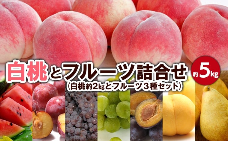 
            白桃とフルーツ詰合せ 約5kg 【令和7年産先行予約】FS23-801 くだもの 果物 フルーツ 山形 山形県 山形市 2025年産
          