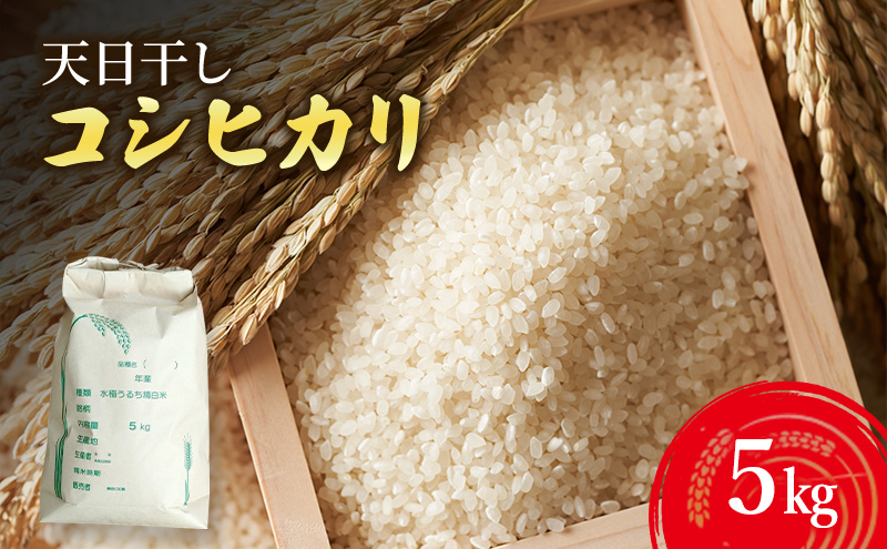 天日干しコシヒカリ5kg 兵庫県 洲本市 淡路島