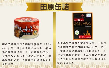 いわし缶 イワシ尽くし 厳選４種×2缶 8缶セット いわし水煮缶 いわししょうゆ味缶 オイルサーディン いわしうま煮缶 水煮 しょうゆ煮