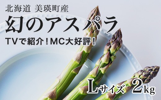 
                  【令和9年産先行予約】幻のアスパラ Lサイズ 2kg ラスノーブル 令和9年産 北海道 美瑛町 本山農場 グリーンアスパラ | グリーン アスパラガス アスパラ あすぱら あすぱらがす 採れたて ギフト 贈答 新鮮 旬 産地直送 野菜 [022-47]
                