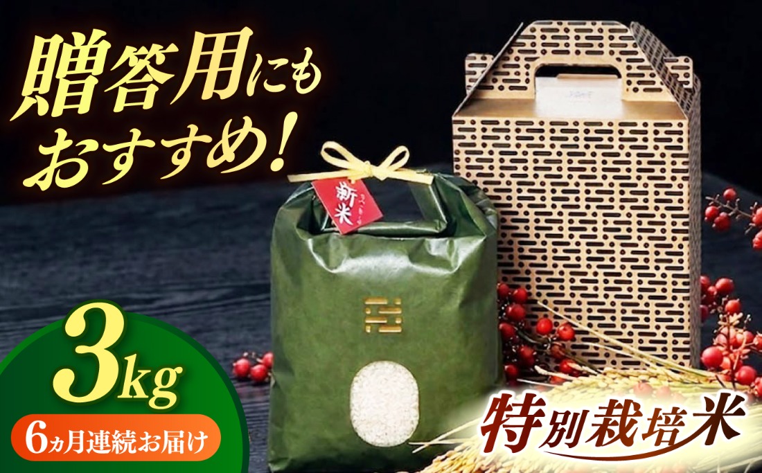 【全6回定期便】 とくべつ の中の とくべつ  特別栽培米 夢つくし 3kg 【築上町】 / itoshimacco / 株式会社やました[ABEX003]