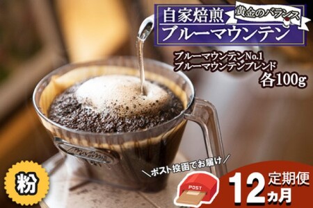 コーヒー粉 Morrow珈琲 ブルーマウンテンNo.1 ブレンド コーヒー粉【各100g】【定期便12ヶ月】