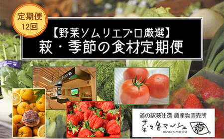 野菜ソムリエプロselect／萩・季節の食材定期便　毎月発送・12回コース｜HG0T0038