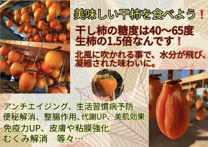 とくがわ家のおやつ ( 堂上蜂屋柿 使用 ) ３個入り | 川登屋　M26S09