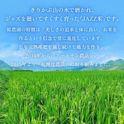 ふるさと納税 玖珠町 《先行受付》令和7年産 原農園 JAZZ米 (玄米) 4kg 3回定期便 品種おまかせ |  | 01