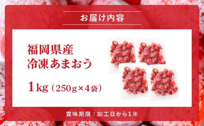 福岡県産 冷凍あまおう1kg(250g×4個)