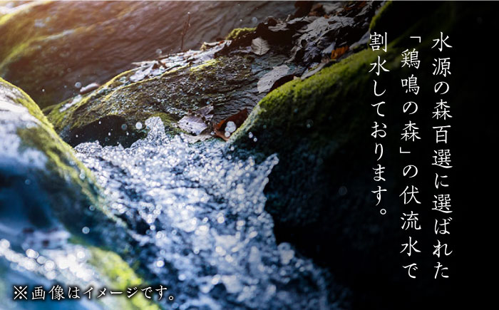 【全6回定期便】麦米焼酎 対馬やまねこ 25度 720ml 2本セット《対馬市》【株式会社サイキ】対馬 酒 贈り物 米焼酎 プレゼント 焼酎 [WAX023]