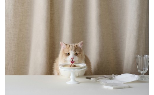 キャットフード 美食メニュー スープ まぐろ  P-40SM×12P