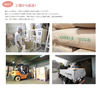 1228 タマイズミSS　10kg 岐阜県産小麦準強力粉