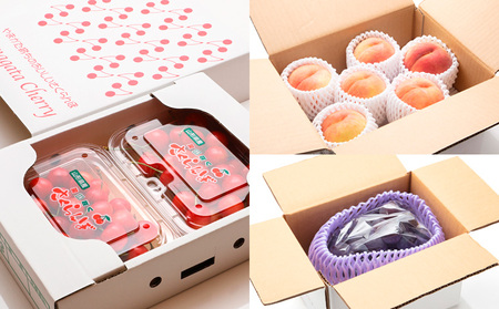 【定期便5回】イチオシ★フルーツ！山形からお届け 【令和8年産先行予約】FS25-613 くだもの 果物 フルーツ 山形 山形県 山形市 2026年産