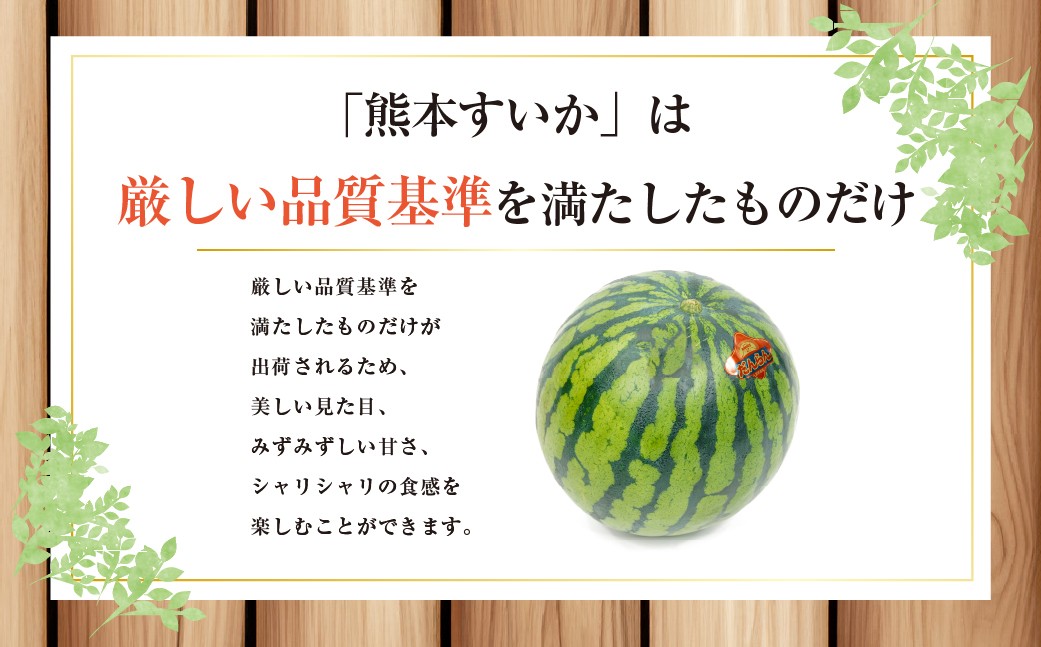 【2026年5月上旬発送開始】大玉すいか 1玉入り S以上 約2kg