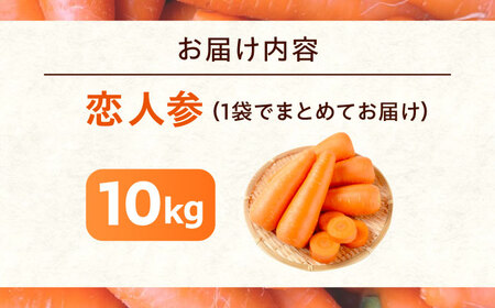 【先行予約】人参 10kg [BAGT004] 人参