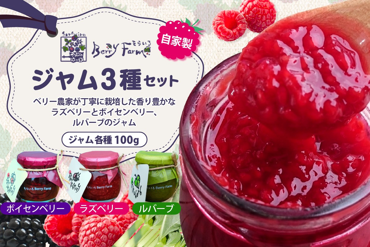 
                  ベリー農家の自家製ジャム3種セット そらいろ Berry Farm提供 山形県 東根市 hi094-004
                