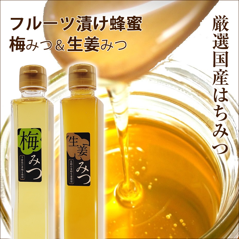フルーツ漬け蜂蜜2本セット（梅みつ＆生姜みつ）【 はちみつ 神奈川県 小田原市 】