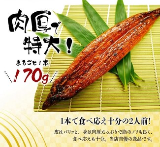 【全6回定期便】大型サイズ ふっくら柔らか 国産うなぎ蒲焼き 2尾×6回 計12尾 約2040g 【tkb310】 