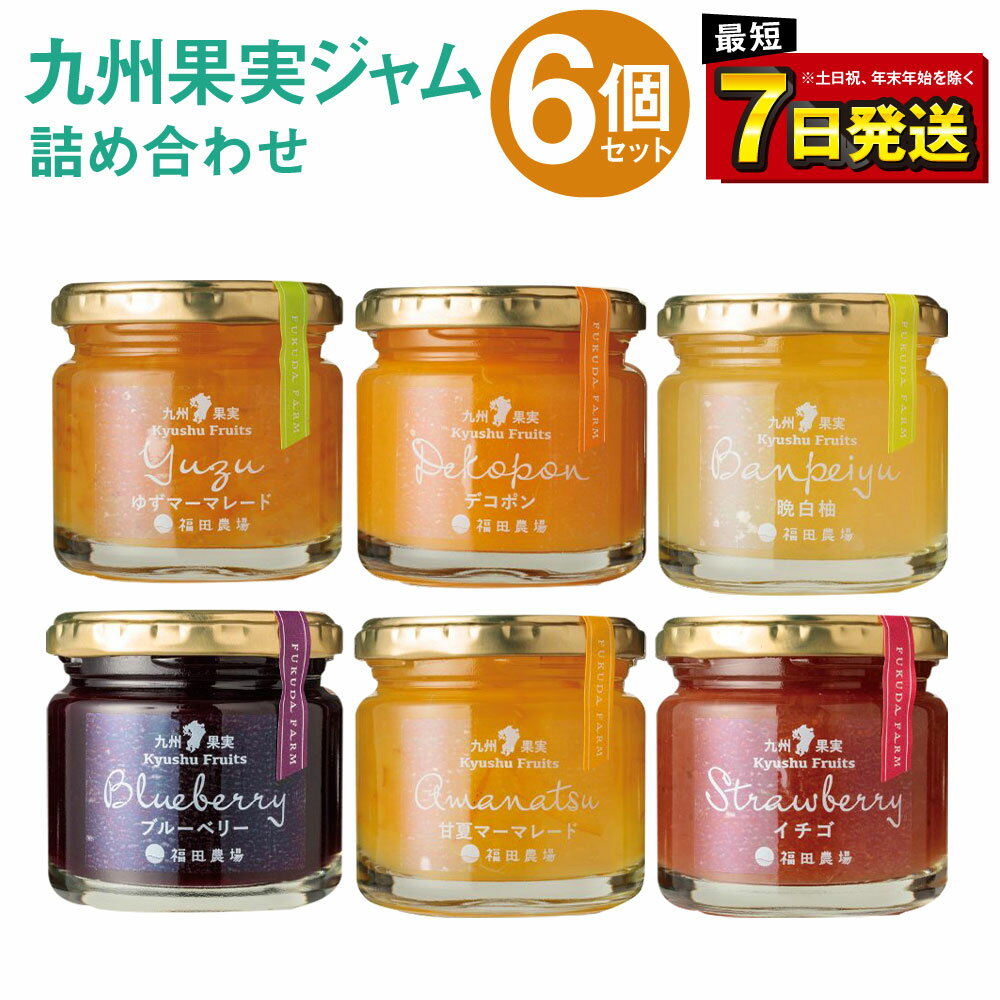 【ふるさと納税】九州果実ジャム 詰め合わせ 6個セット（甘夏、ブルーベリー、いちご、デコポン、晩白柚、ゆず） 120g×6個 合計720g 6種 ジャム マーマレード 果物 フルーツ 柑橘 瓶詰 福田農場 熊本県産 九州産 国産 年内発送 送料無料