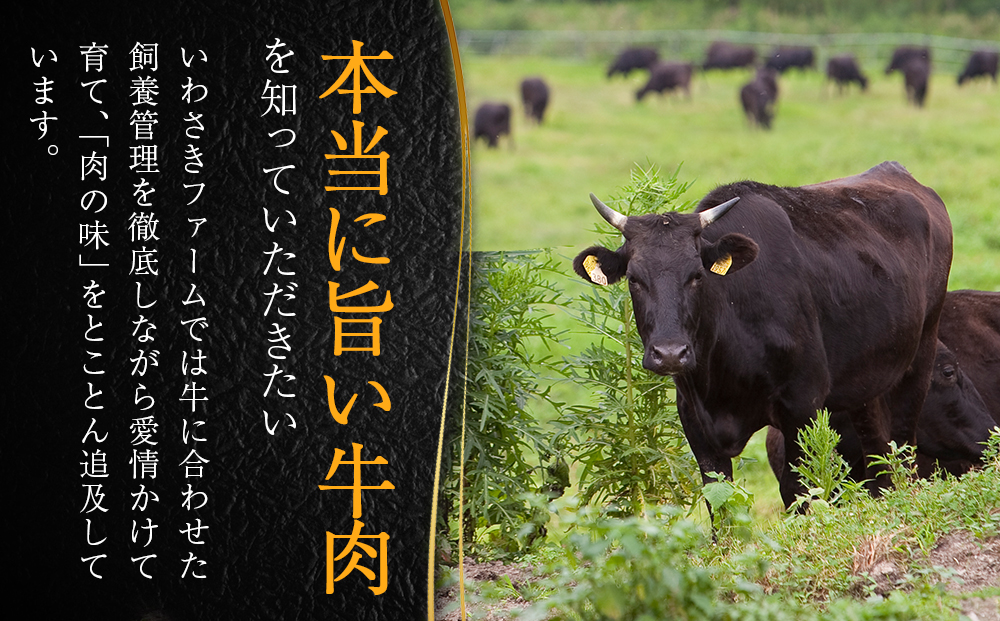 いわさき黒毛和牛 創業ハンバーグ 120g×10個 冷凍 白老和牛 和牛 牛肉 100％ ギフト AB022_イメージ3