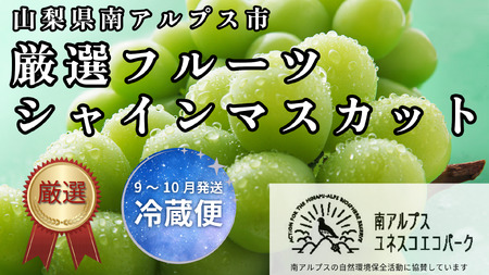 ＜2026年発送先行予約＞ 山梨県南アルプス市産 厳選 シャインマスカット 約1kg ALPEM003