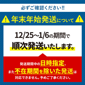 【年末年始発送】白いちご 淡雪 ご家庭用 約1000g ｜ 西谷農園