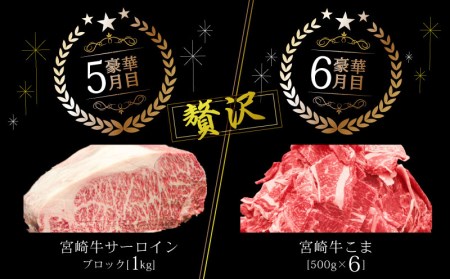 宮崎牛だけの贅沢定期便(6ヶ月コース)　肉 牛 牛肉