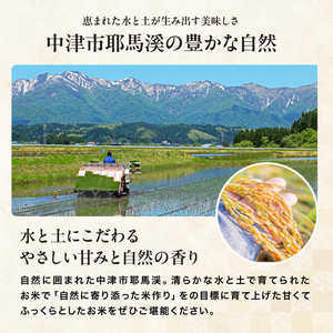 お米 ヒノヒカリ 精米 5kg | 米 おこめ こめ ひのひかり 白米 5キロ 国産米 おいしいお米 大分県産 九州産 中津市