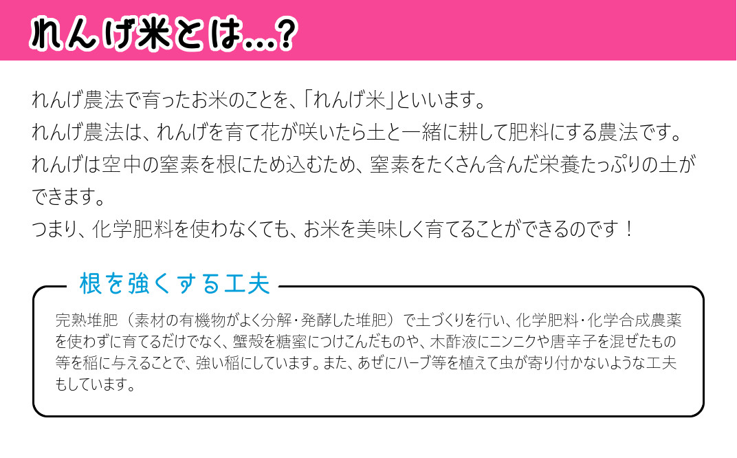 【定期便】《玄米》化学肥料などは一切不使用！こだわり農法の「れんげ米」（5kg）×12回