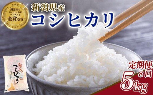【定期便】令和8年産 コシヒカリ 5kg×8回 40kg 新潟県産 玄米不可 新潟県 新潟米 新発田産 新発田 お米 米 こめ コシヒカリ 新発田ファーム 数量限定 新発田ファーム 新潟 新発田 shibatafarm011