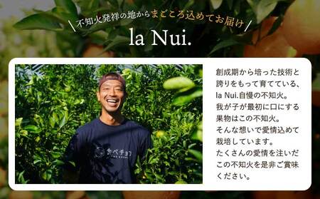 先行予約 ジューシーオレンジ 約10kg（20玉前後） 2026年4月上旬～2026年5月下旬頃発送予定