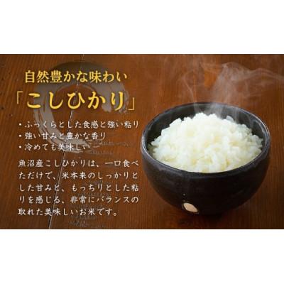 ふるさと納税 小千谷市 令和8年産 米 魚沼産コシヒカリ 宮内農園 精米 5kg 新潟県 小千谷市 |  | 01