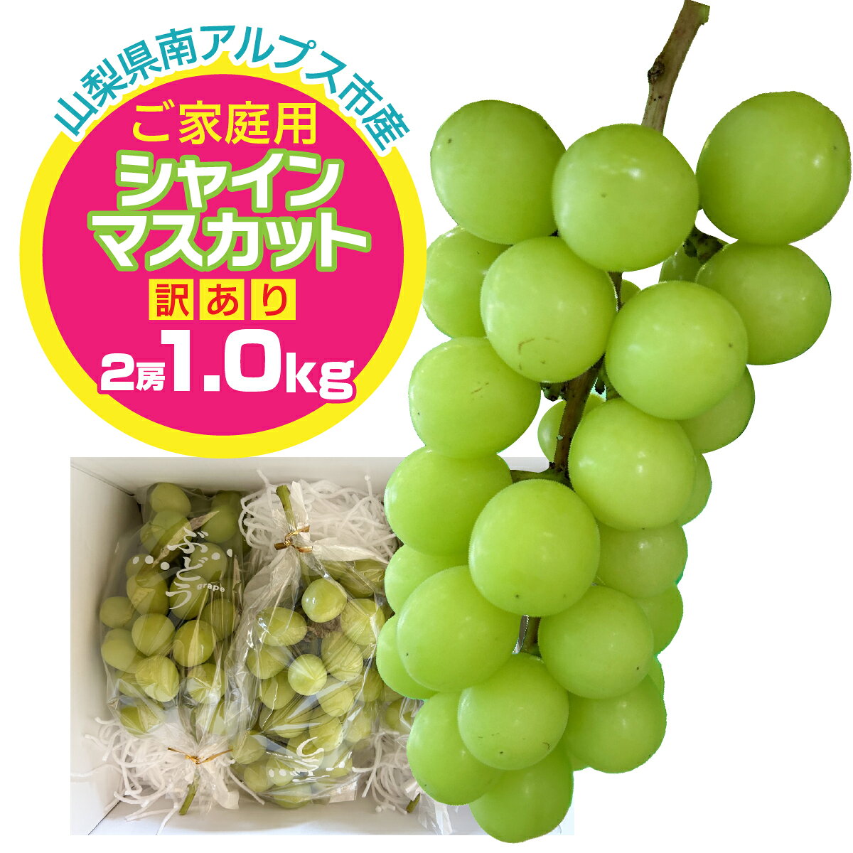 【ふるさと納税】＜2026年発送先行予約＞ご家庭用シャインマスカット 約1.0kg（2房）「訳あり」ALPFN008