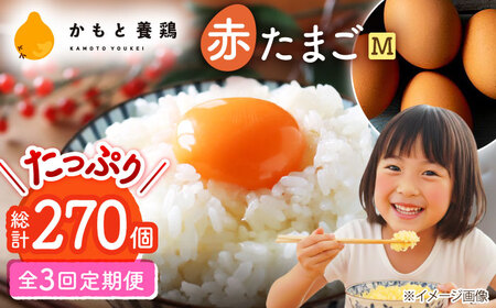 【全3回定期便】赤たまご M玉 90個（85個＋5個割れ保証）【株式会社 かもと養鶏】タマゴ 玉子 熊本県 卵 国産 新鮮 あかたまご M玉  濃厚 [ZCA014]