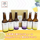 【ふるさと納税】木更津で漬けたリキュール『meguri　サワー』飲み比べセット ふるさと納税 リキュール 千葉県 木更津 送料無料 KAM007