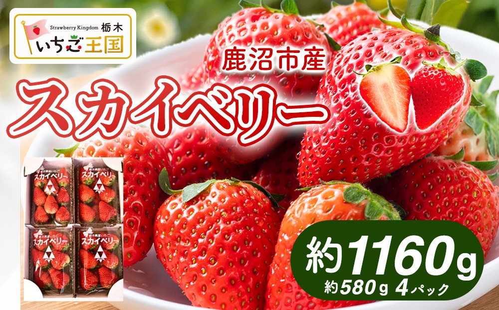 【先行予約】いちご スカイベリー 出会いの森いちご園 （290g×4パック） | いちご イチゴ 苺 栃木県 果物 くだもの フルーツ スカイベリー 新鮮 贈答 ギフト デザート スイーツ ※2026年12月～発送