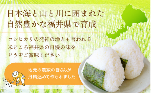 令和7年産 コシヒカリ 3kg 福井県産【白米】【 お米 こめ 米 コメ 精米 こしひかり 3キロ 人気品種】 [e30-a100]