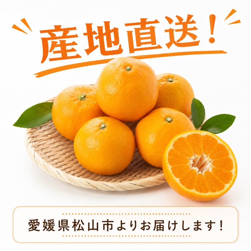 【2027年2月上旬より順次発送】伊予柑 約9.0kg 家庭用 愛媛県産 みかん