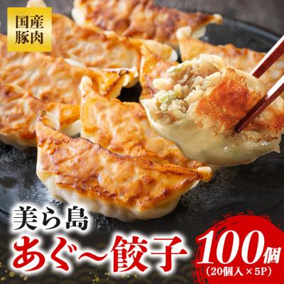 ふるさと納税 糸満市 沖縄高級ブランド豚 濃厚な肉汁が溢れる!美ら島あぐー餃子 20個入(400g)×5パック合計100個