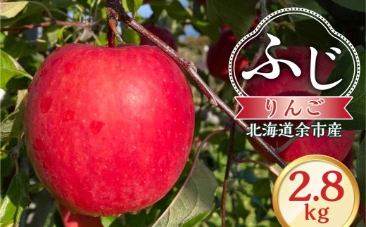 
                  【先行予約：2026年12月上旬より発送】りんご（ふじ）2.8kg【北海道余市町産】
                