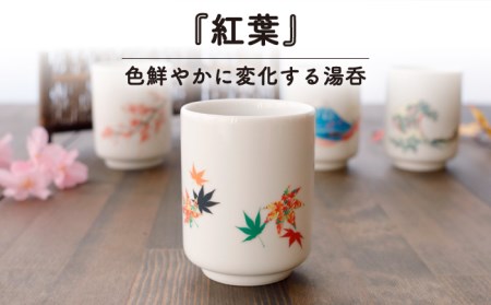 【美濃焼】 温度で変化する 湯呑 (2個) 『紅葉』 【丸モ高木陶器】 [TBA114]