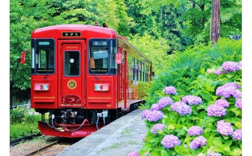 【G0012】ながらランチプラン（シングル）