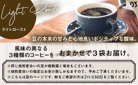 スペシャルティコーヒー(豆)100g×3袋セット_12-C502_(都城市) コーヒー豆 ダークロースト・ミディアムロースト・ライトロースト お任せで3袋 計300g 焙煎の違い 焙煎時間 風味 コク